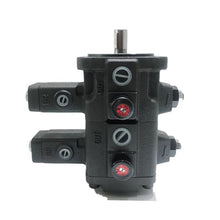 YUANFANNN Double Pump Low Pressure Machine Pump(VCM-DF-12A-12A-10)