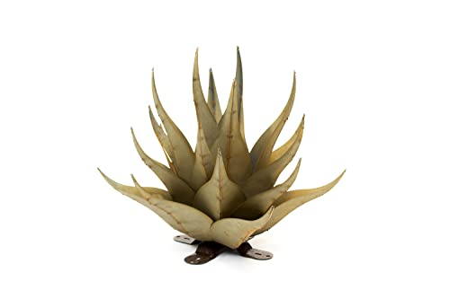 Desert Steel Sharkskin Agave - Small (22" W x 18" H) - Indoor/Outdoor Metal Yard Art & Yard Decor, All Weather