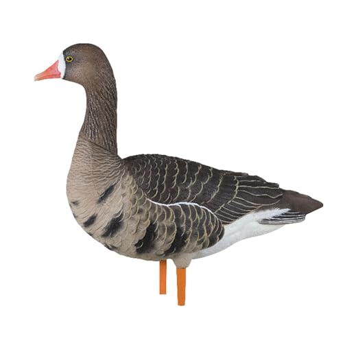 Avian-X AXP Specklebelly Decoy Fusion Pack 18 Pack