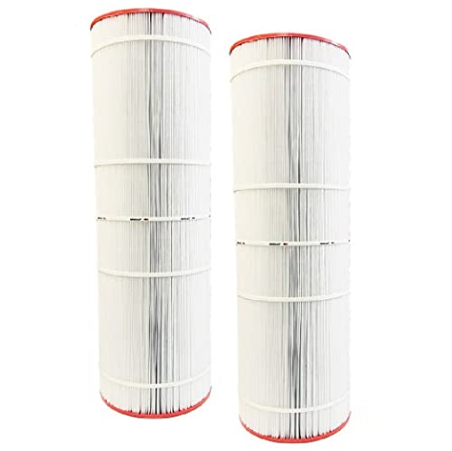 DPM Clean & Clear Cartridge Replacement Set for Pentair 200 Filter | Pleated Element 2 Pack Made in USA | Replacement for C-9419 R173217 FC-0688 PAP200(200 Sq Ft (31 1/8" Height) CCRP200 Qty 2 Pack)