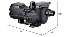 Hayward Pool Pump 1.85 HP (W3SP3202VSP) Black