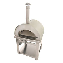 Outdoor Kucht Wood Fired Gas Pizza Oven in Stainless Steel