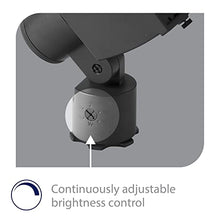 WAC Landscape Lighting, Wall Wash Light LED 12V with Adjustable Beam Angle and Integral Brightness Control 2700K in Black