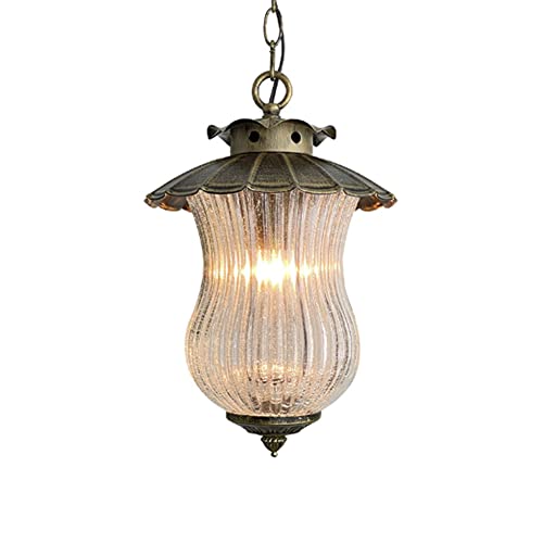 SteFik Outdoor Pendant Light Fixture, 1-Light Exterior Hanging Lantern Outside Chandelier Porch Lighting in Bronze Finish with Clear Ribbed Glass for Patio, Entryway Interesting Life,Pendant