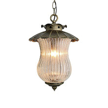 SteFik Outdoor Pendant Light Fixture, 1-Light Exterior Hanging Lantern Outside Chandelier Porch Lighting in Bronze Finish with Clear Ribbed Glass for Patio, Entryway Interesting Life,Pendant