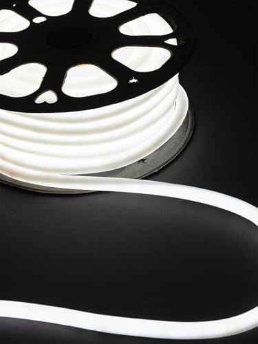 LEDMyplace 165ft LED Neon Rope Light Daylight White 6500K, Flexible Waterproof LED Rope Lights Outdoor Indoor, Neon Lights for Bedroom Wall Decor, Bar Lighting, LED Strip Lighting for Commercial Use