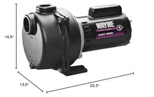 WAYNE WLS150-1 1/2 HP Cast Iron High Volume Lawn Sprinkling Pump - Up to 2,950 Gallons Per Hour - Heavy Duty Outdoor Pump for Sprinkler Systems