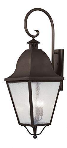 Livex Lighting 2559-07 Outdoor Wall Lantern with Seeded Glass Shades, Bronze