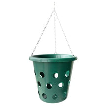 Mountain Valley Seed Co Bloom Master Hanging Baskets 6 Gallon 14 Pack Bulk