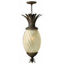 Bailey Street Home 4 Light Outdoor Hanging Lantern Bronze