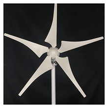 Wind Turbine Generator 600W 800W 1000W New Energy Horizontal Wind Turbine Generator 12v 24v 3/5 Blades Windmill Free MPPT Controller ( Color : MPPT Controller Voltage : 12V ) (Mppt Controller 12V)