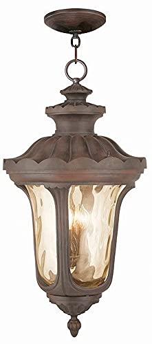 Livex Lighting 76703-58 Oxford 4 Light Outdoor Hanging Lantern Lantern, Imperial Bronze