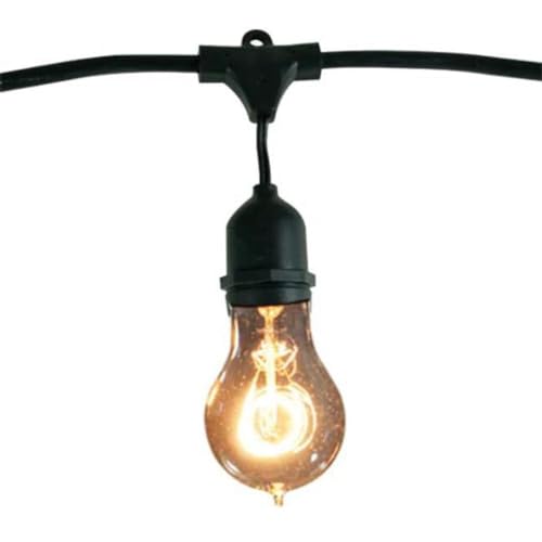 Bulbrite 862823 48 ft. String Light Kit with Nostalgic Loop Filament A19 Light Bulbs, Pack of 2