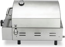 Outdoor 10" Pizza Oven, Stainless Steel Tabletop Pizza Oven,Propane Gas Fired, with Baking Stone and Shelf, Large-Capacity Pizza Drawer Toaster Oven, for Bakery Western Restaurant