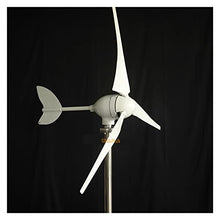 ngddf2haa 600W 800W 1000W Wind Turbine Generator New Energy Horizontal Wind Turbine Generator 12v 24v 48v Homeuse Windmill with MPPT Controller (Color : 5 Specification : 1)