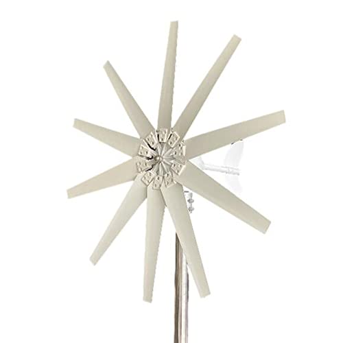 HUIZHITENGDA 10000W High Efficiency New Energy Wind Generator, 12V 24V 48V 10 Blades Low Noise Horizontal Wind Turbine with MPPT Controller for Home Use(White),12v