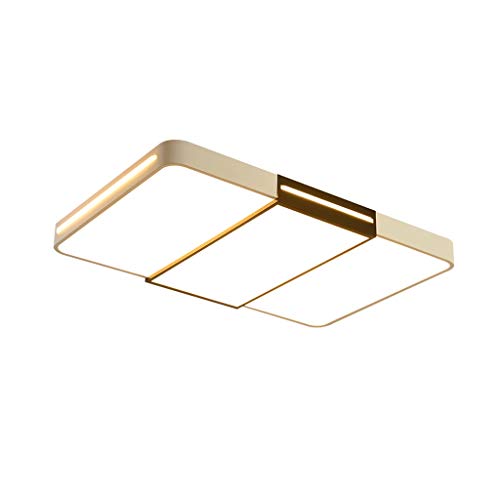 AMAZWI Lamp Simple and Modern LED Living Room Ceiling Lamp, Economical and Practical Lighting That is Easy to Install and Clean