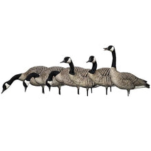 Avian-X AXP Honkers Full Body Canada Goose Decoys Fusion Pack Multicolor
