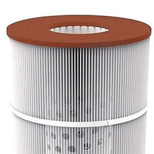 DPM Replacement Cartridge for Sta-Rite Posi-Clear PXCRP 200 Pool Filter Cartridge Pleated 2 Pack Made in USA | Replaces for C-9419 R173217 FC-0688 PAP200 (200 Sq Ft (31 1/8" Height) PXCRP200 Qty 2)