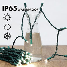 LAMPHOME 1200LED (24pk of 50L) String Lights, LED Christmas Lights, 6" SPACING,Green Wire, White