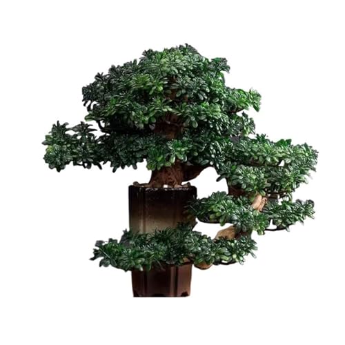 YXIANG56Q Fake Plants Indoor Fake Tree Potted Plant Ornaments Desktop Jewelry Entrance Decoration Simulation Tree Decoration High-Grade Artificial Bonsai Bonsai Tree