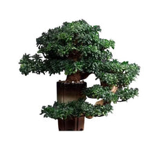 YXIANG56Q Fake Plants Indoor Fake Tree Potted Plant Ornaments Desktop Jewelry Entrance Decoration Simulation Tree Decoration High-Grade Artificial Bonsai Bonsai Tree