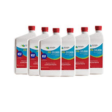 Orenda Technologies Orenda PR-10000 Phosphate Remover Concentrate for Pools 1 Quart 6 Pk ORE-50-226-6