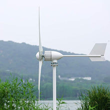 NINILADY 2000W Horizontal Wind Turbine with Hybrid Controller and Inverter 24v 48v 96v Wind Generator Windmill Free Energy Power (24V, with MPPT Hybrid Controller)