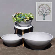 CFGH6FDF Bowl Shape Cement Planter Round Large Hydroponic Clay Simple Flower Bed Bonsai Multifunction(Gris,Large)