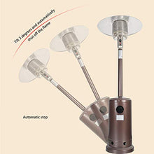 AIZYR Outdoor BBQ Grill Gas Patio Heater - Garden Camping Stove Heater with Tilt Switch Safety Easy to Install/Easy Control