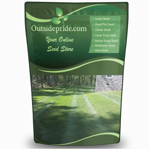 Outsidepride SPF-30 Hybrid Bluegrass Seeds - 50 lbs. Heat & Drought Tolerant, Texas Bluegrass & Kentucky Bluegrass Seed Mix for Challenging Climates, OptiGrowth Coated for Better Establishment