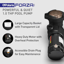 Polaris Prestige Above Ground Pool Filter System