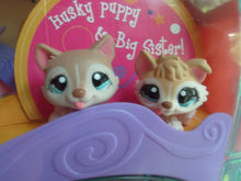 Littlest Pet Shop Cozy Care Adoption Center Playset