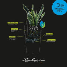 Lechuza 13150 Cubico Color 40 Self-Watering Planter for Indoor and Outdoor Use, 16" x 16" x 30", White