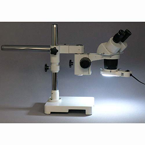 AmScope Binocular Stereo Microscope 10X/30X White