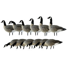 Avian-X Topflight Early Season Teal & AXP Honkers Fusion Canada Goose Decoy Set 6 Pack