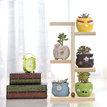 SIDUFHAOPKLL Storage Rack, Mini Plant Stand,Small Stool Display Wood Tiered Succulent Planter for Indoor Outdoor Home Office Decorative(D)