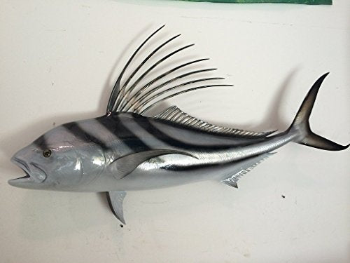 Mount This Fish Company 43" Roosterfish Wall Mount Trophy 43" Two Sided