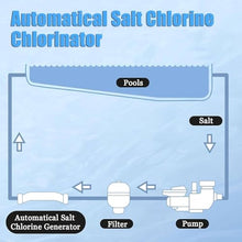 WEIZIIA Electronic Chlorine Generator, Salt Chlorine Generator, Salt Chlorine Machine, Chlorine Electrolyzer Salt Chlorination System Swimming Pool Electrolyzer Treatment Tool,8g/h