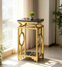Plant Stand Indoor Outdoor 2-Tier,Metal Plant Shelf for Multiple Plants