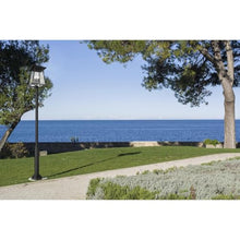 Z-Lite Rainer 6 Light 126" Tall Post Light Black