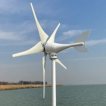 NINILADY New Arrivel Low Noise 600W 12V 24V 48V Wind Turbine 5 Blades with MPPT Controller Wind Generator for Home Free Energy (24v with Controller)