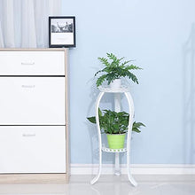 iumLeap Plant Stand 2 Tiers Flower Rack Garden Metal Plant Stand Holder Flower Pot Rack Display Shelf Indoor Outdoor Home Decoration