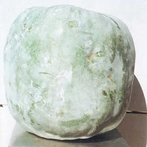 Mountain Valley Seed Company Giant Wax Gourd Seeds Non-GMO Heirloom 5 Lb Bulk Green White