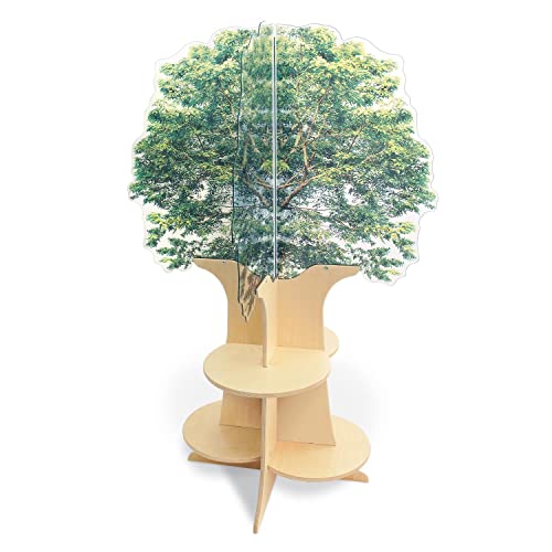Whitney Brothers Nature View Tree Book Shelf Multi Color