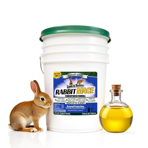 Nature’s Mace Rabbit MACE Concentrate, Deterrent for Yard, Rabbit Repellent Outdoor, Mint Rabbit Spray, Garden, Lawn, Keep Rabbits Out Safe to Use Around People, Pets, Plants, 640 Fl Oz (Pack of 1)
