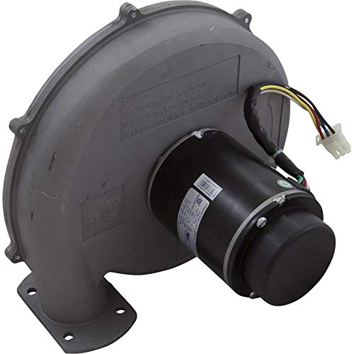 Pentair Blower Kit, MasterTemp 300, NAT.