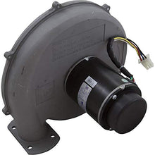 Pentair Blower Kit, MasterTemp 300, NAT.