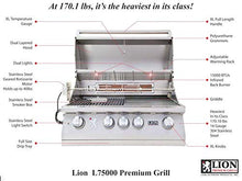 AMS Fireplace Lion 32" Grill Package w/double door, Roll-Out Propane Tank and double side burner | NG