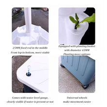 Hydroponics Growing System,Indoor herb Garden,hydroponic Growing Kits & Systems,Vegetables hydroponic Grow kit,with Hydrating Pump, Adapter, Net Pots. (Size : 10th Floor)